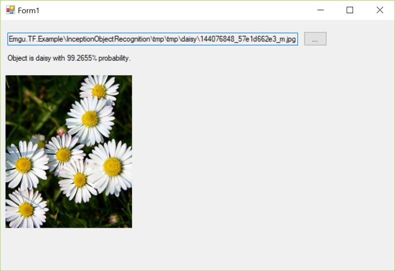 File:Flower recognition daisy 1.png