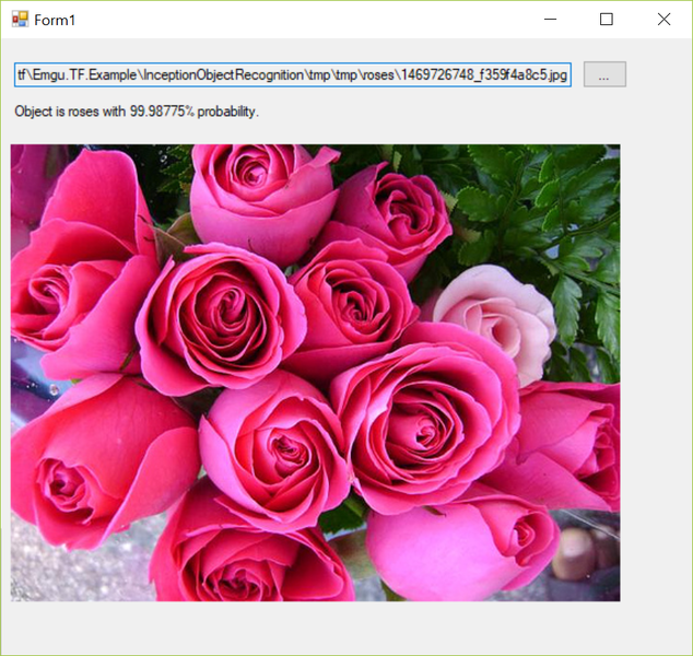File:Flower recognition rose 1.png