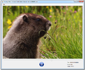 Thumbnail for version as of 13:12, 27 November 2012